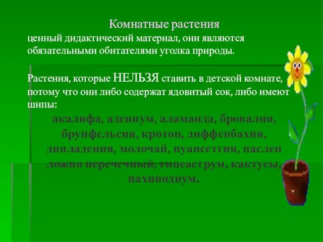 Комнатные растения ценный дидактический материал, они являются обязательными обитателями уголка природы. Растения,