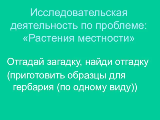 Исследовательская деятельность по проблеме: «Растения местности» Отгадай загадку, найди отгадку (приготовить образцы