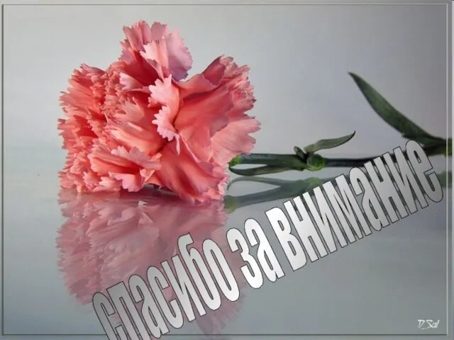 спасибо за внимание