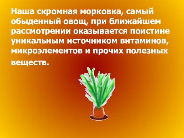 Наша скромная морковка, самый обыденный овощ, при ближайшем рассмотрении оказывается поистине уникальным