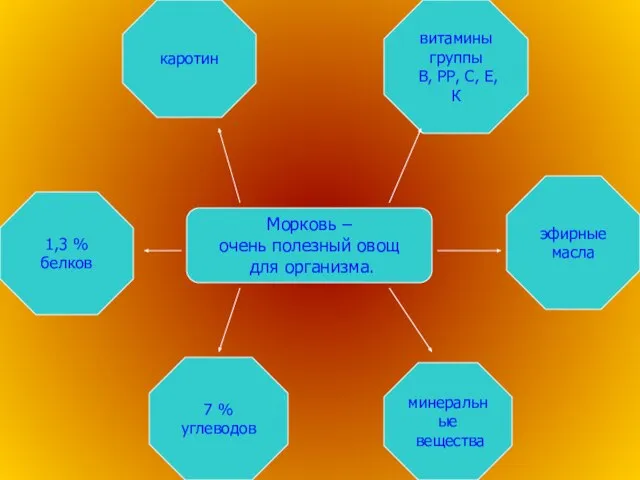 Морковь – очень полезный овощ для организма. 1,3 % белков 7 %