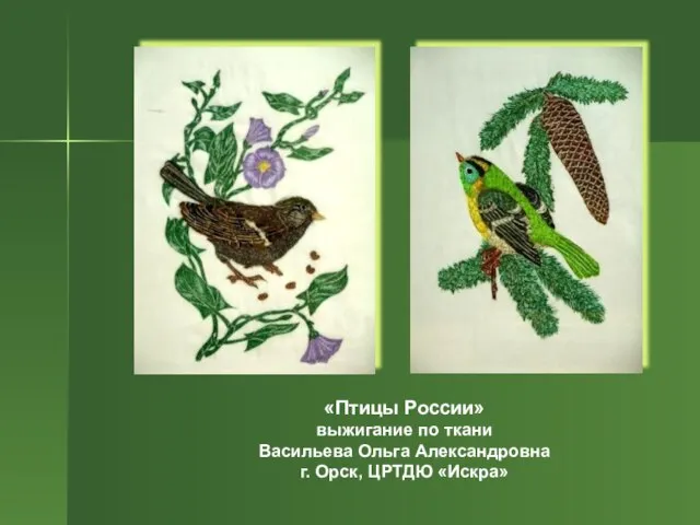 «Птицы России» выжигание по ткани Васильева Ольга Александровна г. Орск, ЦРТДЮ «Искра»