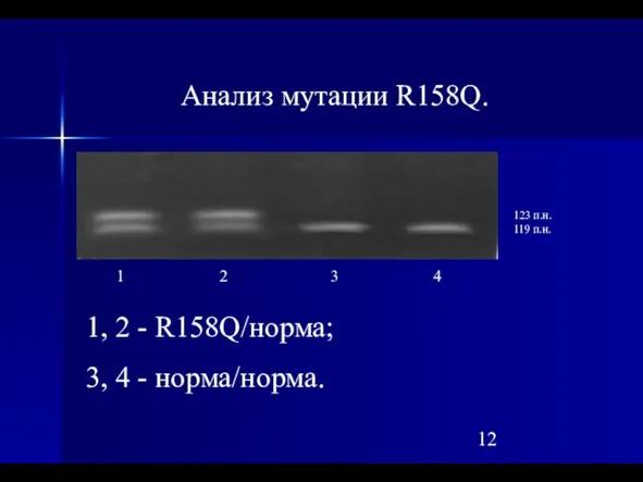 Анализ мутации R158Q. 123 п.н. 119 п.н. 1 2 3 4 1,