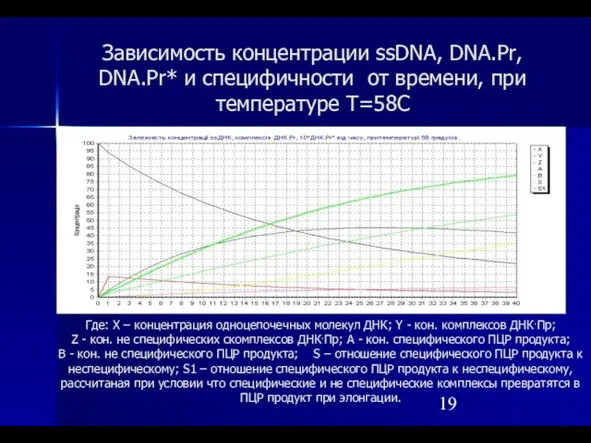 Зависимость концентрации ssDNA, DNA.Pr, DNA.Pr* и специфичности от времени, при температуре T=58С