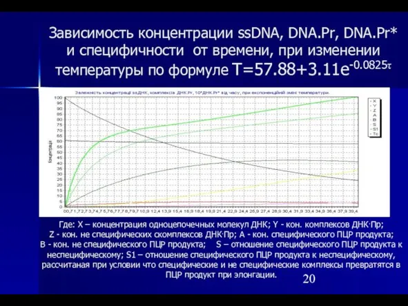 Зависимость концентрации ssDNA, DNA.Pr, DNA.Pr* и специфичности от времени, при изменении температуры