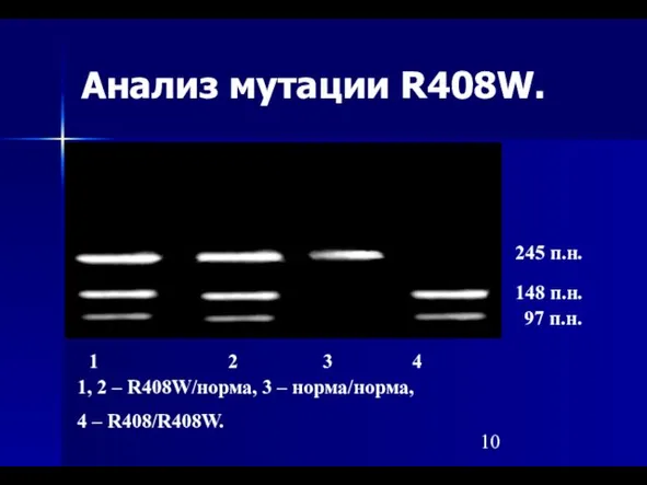 Анализ мутации R408W. 1 2 3 4 1, 2 – R408W/норма, 3