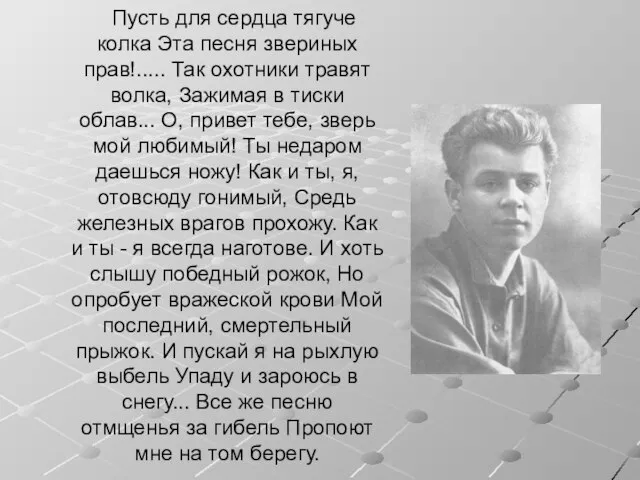 Пусть для сердца тягуче колка Эта песня звериных прав!..... Так охотники травят