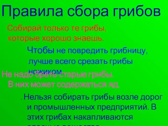 Правила сбора грибов Собирай только те грибы, которые хорошо знаешь. Чтобы не