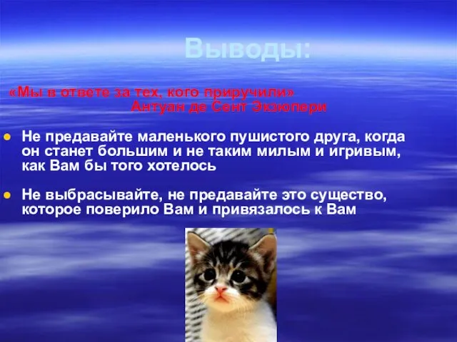 Выводы: «Мы в ответе за тех, кого приручили» Антуан де Сент Экзюпери