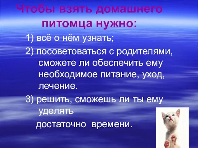 1) всё о нём узнать; 2) посоветоваться с родителями, сможете ли обеспечить