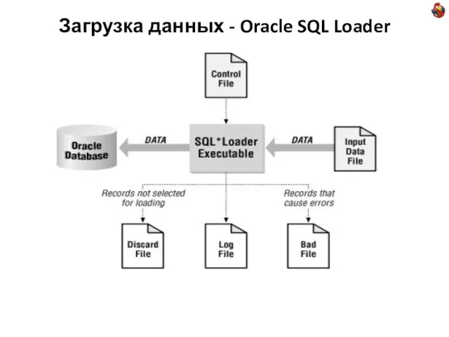 Загрузка данных - Oracle SQL Loader