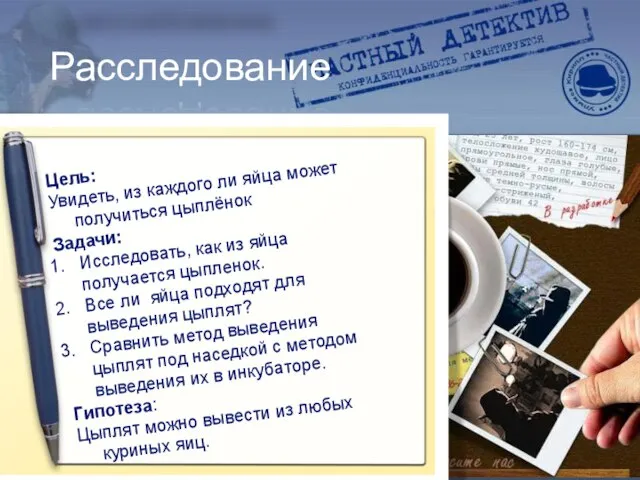 Расследование Цель: Увидеть, из каждого ли яйца может получиться цыплёнок Задачи: Исследовать,