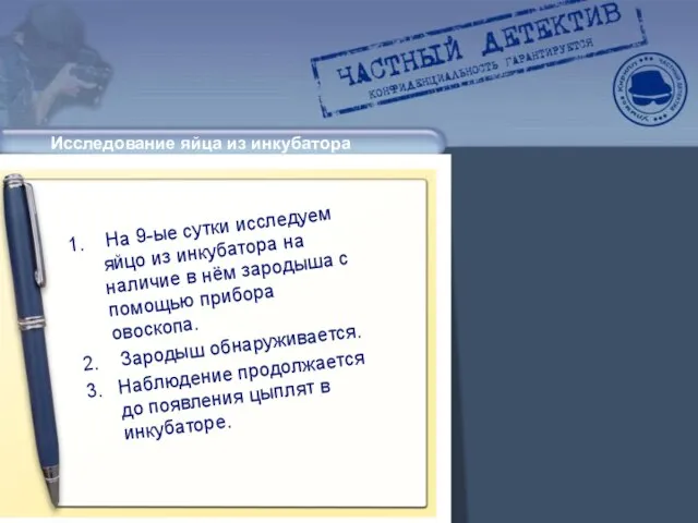 Исследование яйца из инкубатора На 9-ые сутки исследуем яйцо из инкубатора на