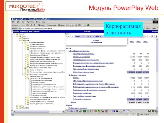 Корпоративная отчетность Модуль PowerPlay Web
