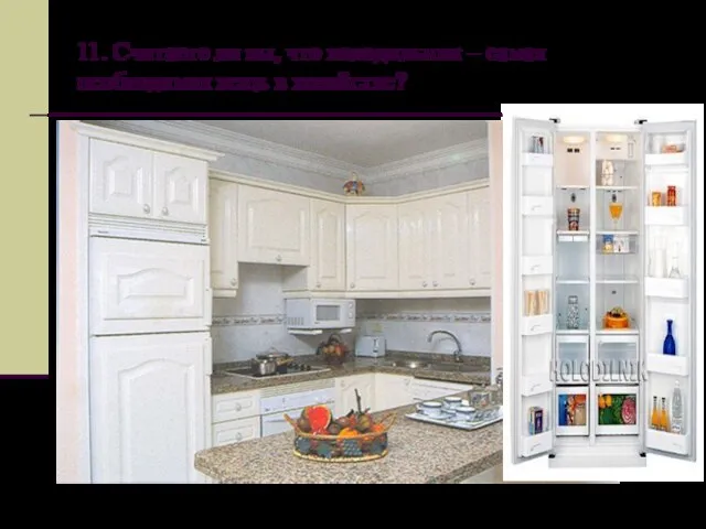 11. Считаете ли вы, что холодильник – самая необходимая вещь в хозяйстве?