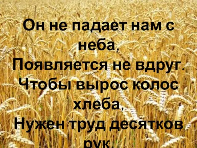 Он не падает нам с неба, Появляется не вдруг. Чтобы вырос колос