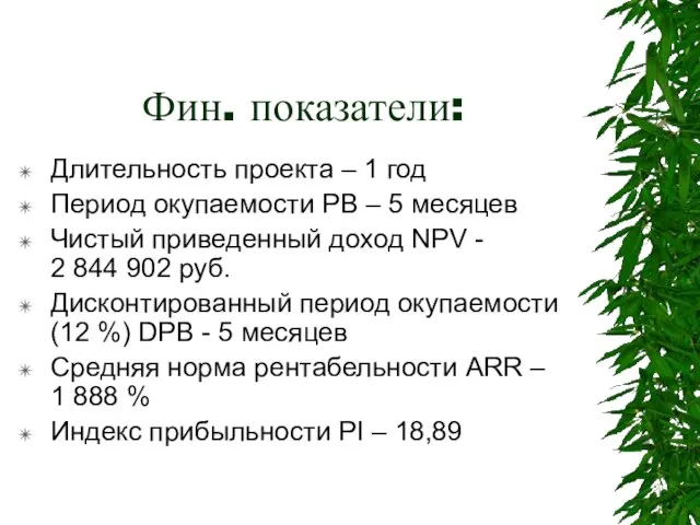 Фин. показатели: Длительность проекта – 1 год Период окупаемости РВ – 5