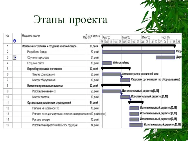 Этапы проекта