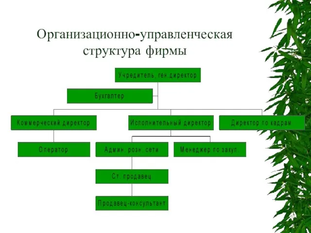 Организационно-управленческая структура фирмы