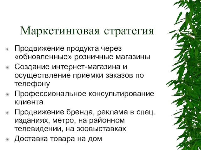 Маркетинговая стратегия Продвижение продукта через «обновленные» розничные магазины Создание интернет-магазина и осуществление