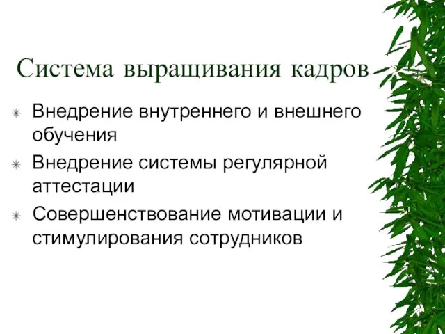 Система выращивания кадров Внедрение внутреннего и внешнего обучения Внедрение системы регулярной аттестации