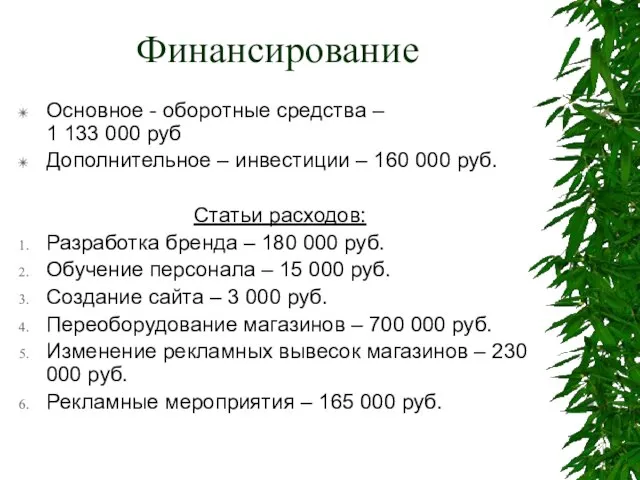 Финансирование Основное - оборотные средства – 1 133 000 руб Дополнительное –