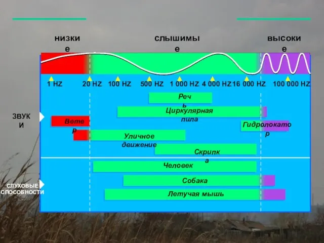 низкие слышимые высокие ЗВУКИ СЛУХОВЫЕ СПОСОБНОСТИ 1 HZ 20 HZ 100 HZ