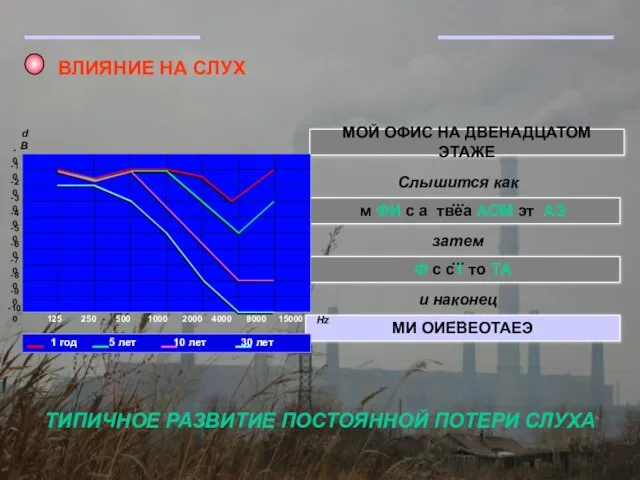 ВЛИЯНИЕ НА СЛУХ ТИПИЧНОЕ РАЗВИТИЕ ПОСТОЯННОЙ ПОТЕРИ СЛУХА МОЙ ОФИС НА ДВЕНАДЦАТОМ