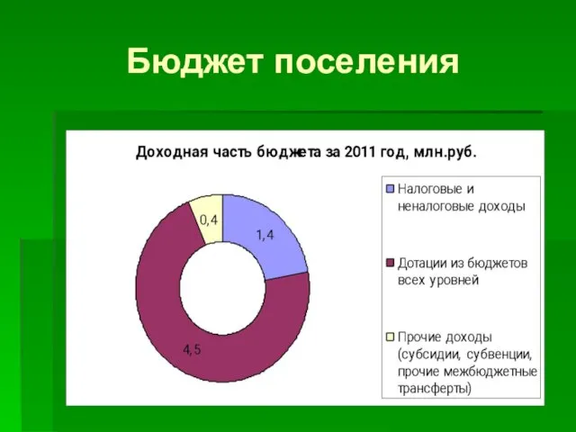 Бюджет поселения