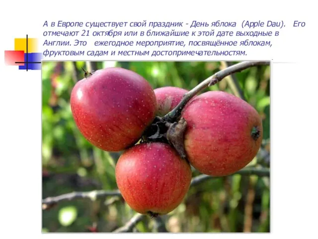А в Европе существует свой праздник - День яблока (Apple Dau). Его