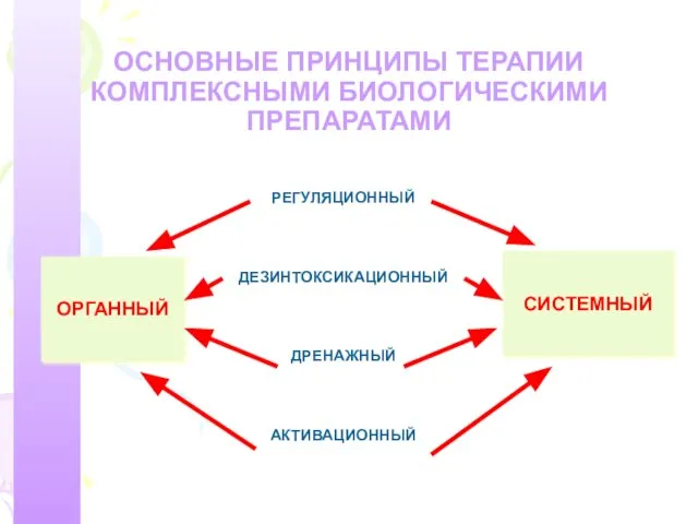 ОСНОВНЫЕ ПРИНЦИПЫ ТЕРАПИИ КОМПЛЕКСНЫМИ БИОЛОГИЧЕСКИМИ ПРЕПАРАТАМИ РЕГУЛЯЦИОННЫЙ ДЕЗИНТОКСИКАЦИОННЫЙ ДРЕНАЖНЫЙ АКТИВАЦИОННЫЙ ОРГАННЫЙ СИСТЕМНЫЙ