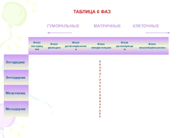 ТАБЛИЦА 6 ФАЗ ГУМОРАЛЬНЫЕ МАТРИЧНЫЕ КЛЕТОЧНЫЕ БИОЛОГИЧЕСКИЙ БАРЬЕР