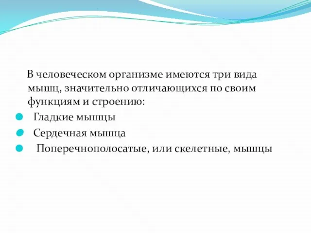 В человеческом организме имеются три вида мышц, значительно отличающихся по своим функциям