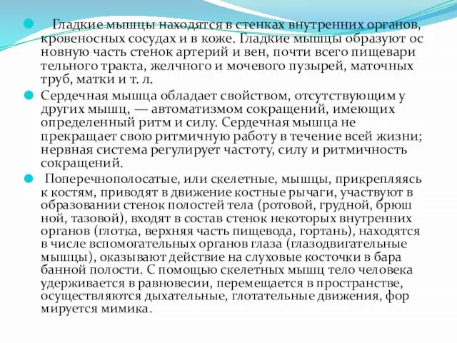 Гладкие мышцы находятся в стенках внутренних органов, кровеносных сосудах и в коже.