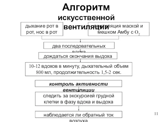 Алгоритм искусственной вентиляции 11