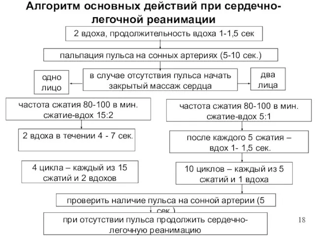 Алгоритм основных действий при сердечно-легочной реанимации 18