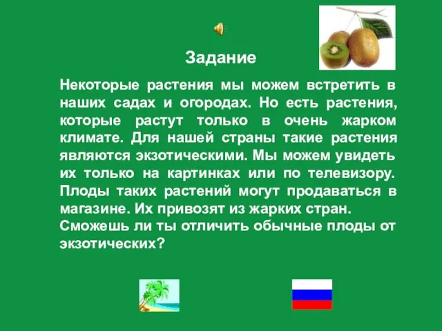 Задание Некоторые растения мы можем встретить в наших садах и огородах. Но