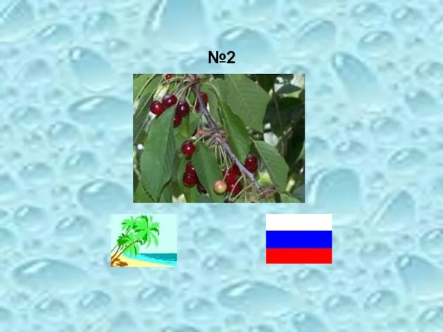 №2