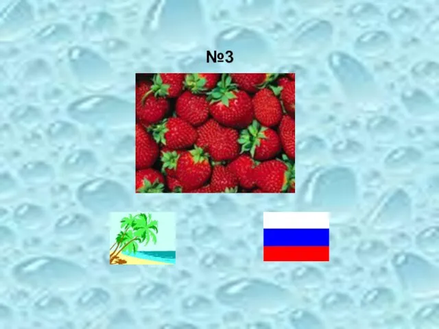 №3