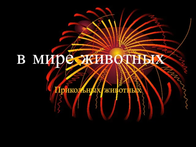 в мире животных Прикольных животных