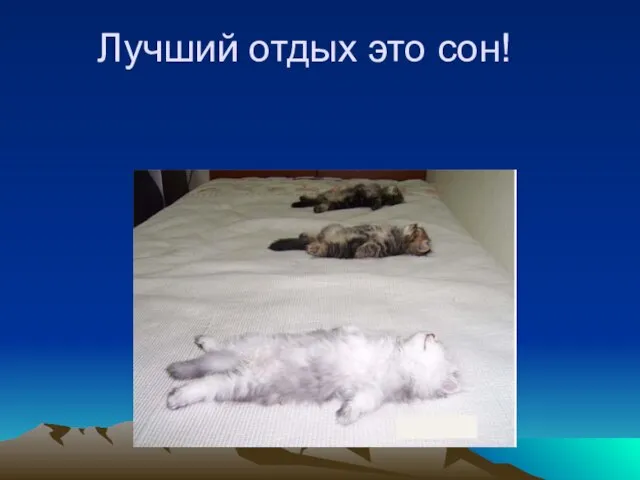 Лучший отдых это сон!