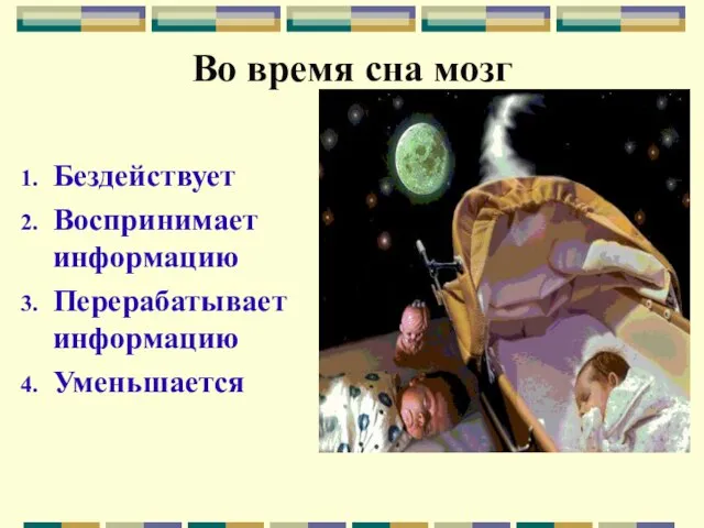 Во время сна мозг Бездействует Воспринимает информацию Перерабатывает информацию Уменьшается