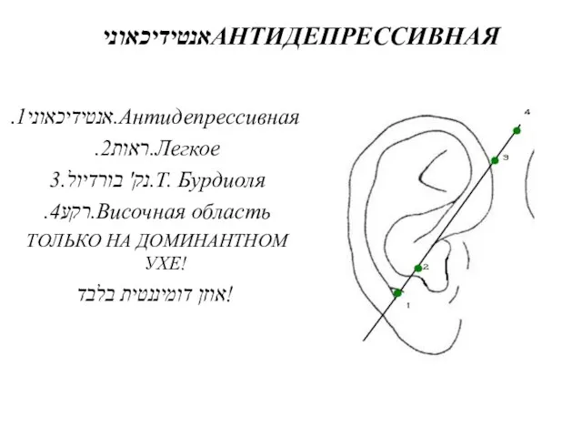 אנטידיכאוניАНТИДЕПРЕССИВНАЯ .אנטידיכאוני1.Антидепрессивная .ראות2.Легкое נק' בורדיול.3.Т. Бурдиоля .רקע4.Височная область ТОЛЬКО НА ДОМИНАНТНОМ УХЕ! אוזן דומיננטית בלבד!