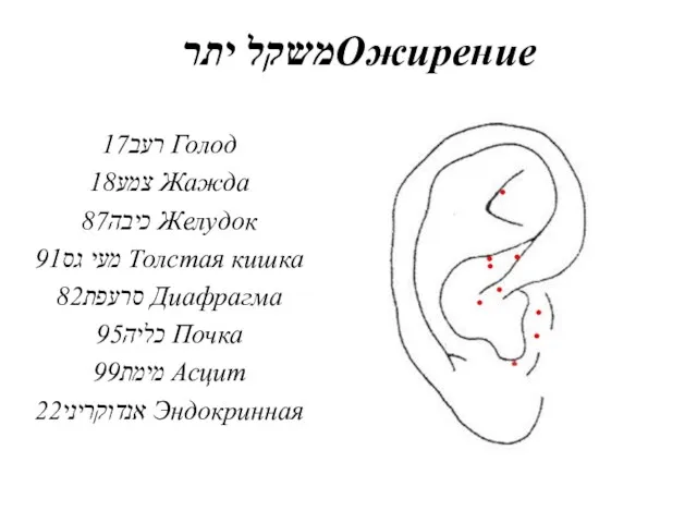 משקל יתרОжирение רעב17 Голод צמע18 Жажда כיבה87 Желудок מעי גס91 Толстая кишка