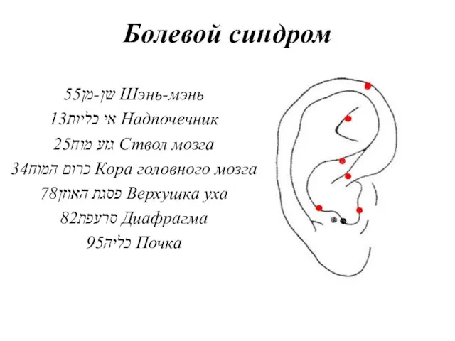 Болевой синдром שן-מן55 Шэнь-мэнь אי כליות13 Надпочечник גזע מוח25 Ствол мозга כרום