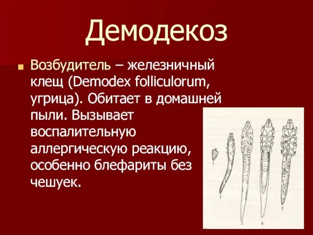 Демодекоз Возбудитель – железничный клещ (Demodex folliculorum, угрица). Обитает в домашней пыли.