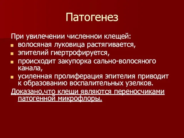 Патогенез При увилечении численнои клещей: волосяная луковица растягивается, эпителий гиертрофируется, происходит закупорка