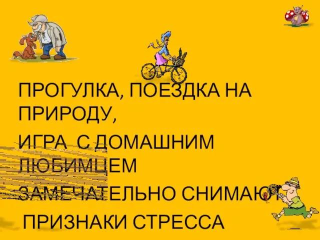 ПРОГУЛКА, ПОЕЗДКА НА ПРИРОДУ, ИГРА С ДОМАШНИМ ЛЮБИМЦЕМ ЗАМЕЧАТЕЛЬНО СНИМАЮТ ПРИЗНАКИ СТРЕССА