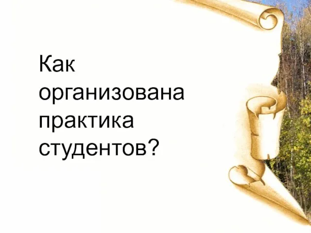 Как организована практика студентов?