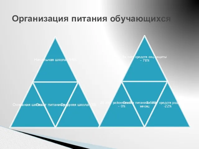 Организация питания обучающихся